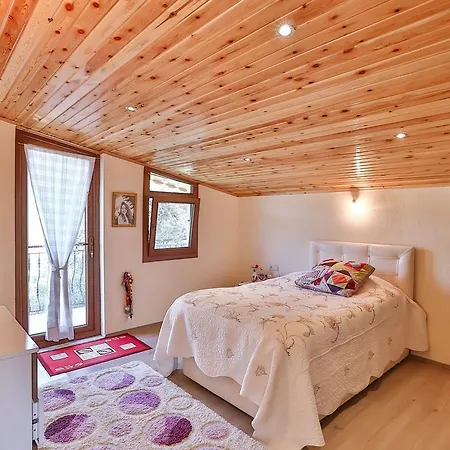 Apartment Zeytin Apart Kas