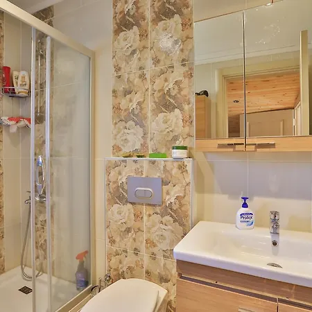 Apartment Zeytin Apart